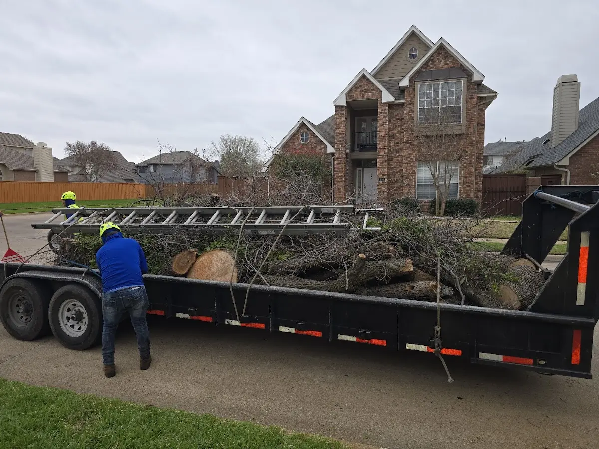Expert Lot Clearing with proper safety equipment in Gideon